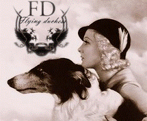 Flying Duchess with dog, Toronto pet sitting cat visits and cat sitting