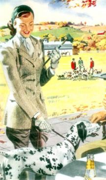 Highpark, Bloor West, Toronto Cat Sitting