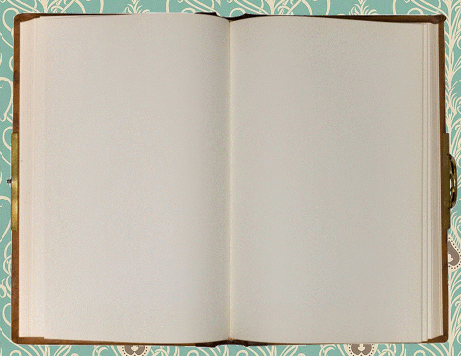 Flying Duchess High Park Pet and Cat Sitters Contact Page