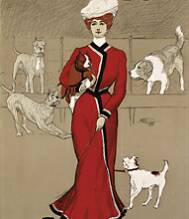 Flying Duchess Toronto Pet Sitters and Cat sitters