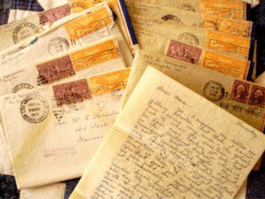 Yorkville Toronto Cat Sitters Repeat client reviews