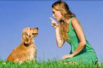 Riverdale Toronto Cat Sitters