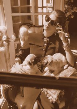 Professional Toronto Pet Sitting, Schedule a Service